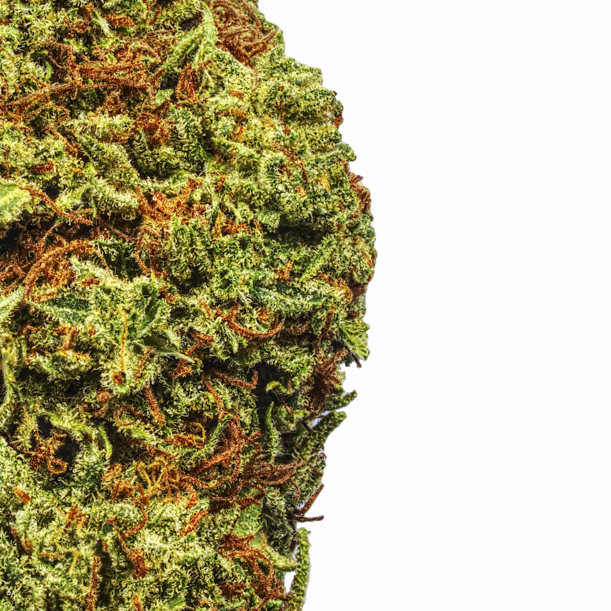Blue Dream (BOGO) - Image 2