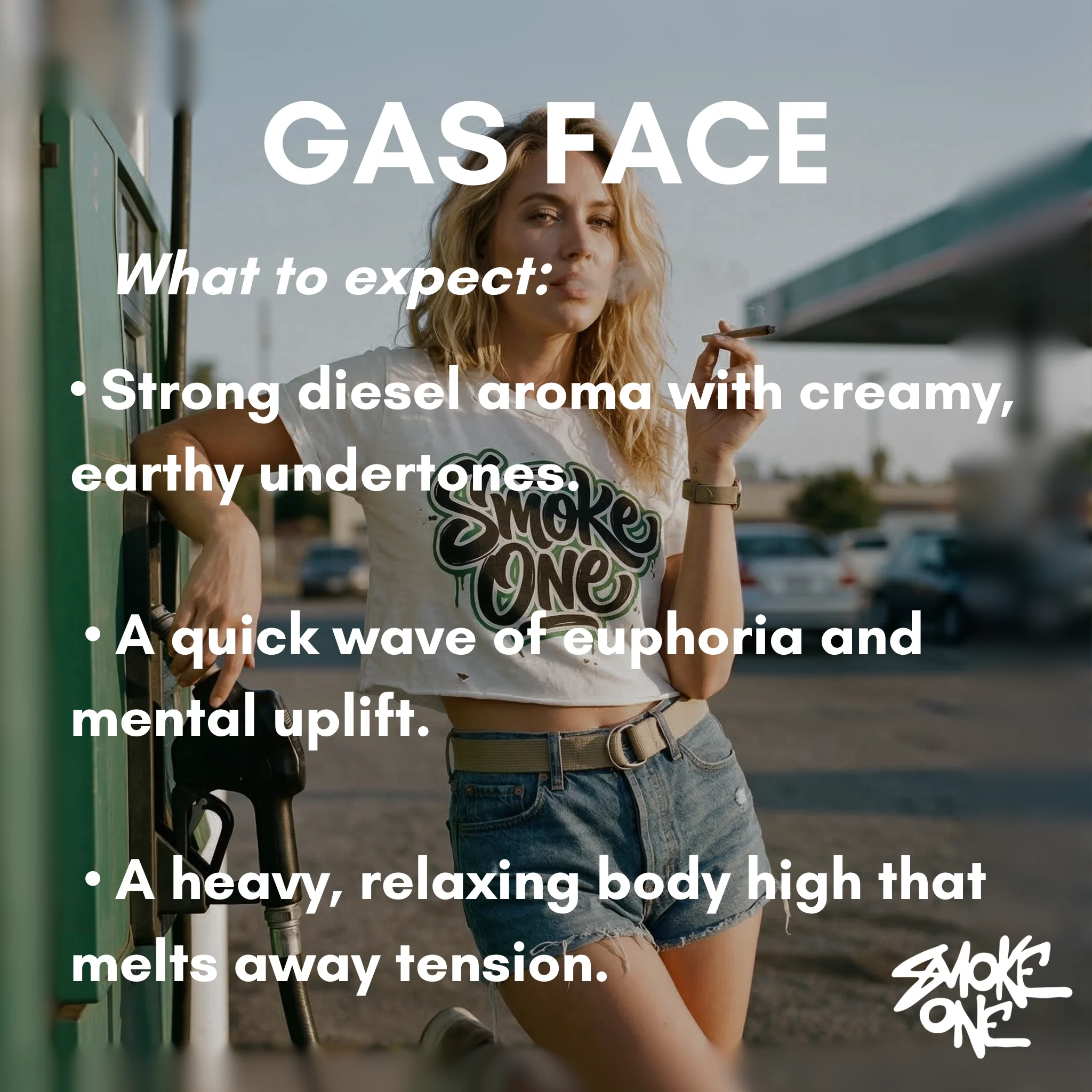 Gas Face Trim (Exotic) - Image 4