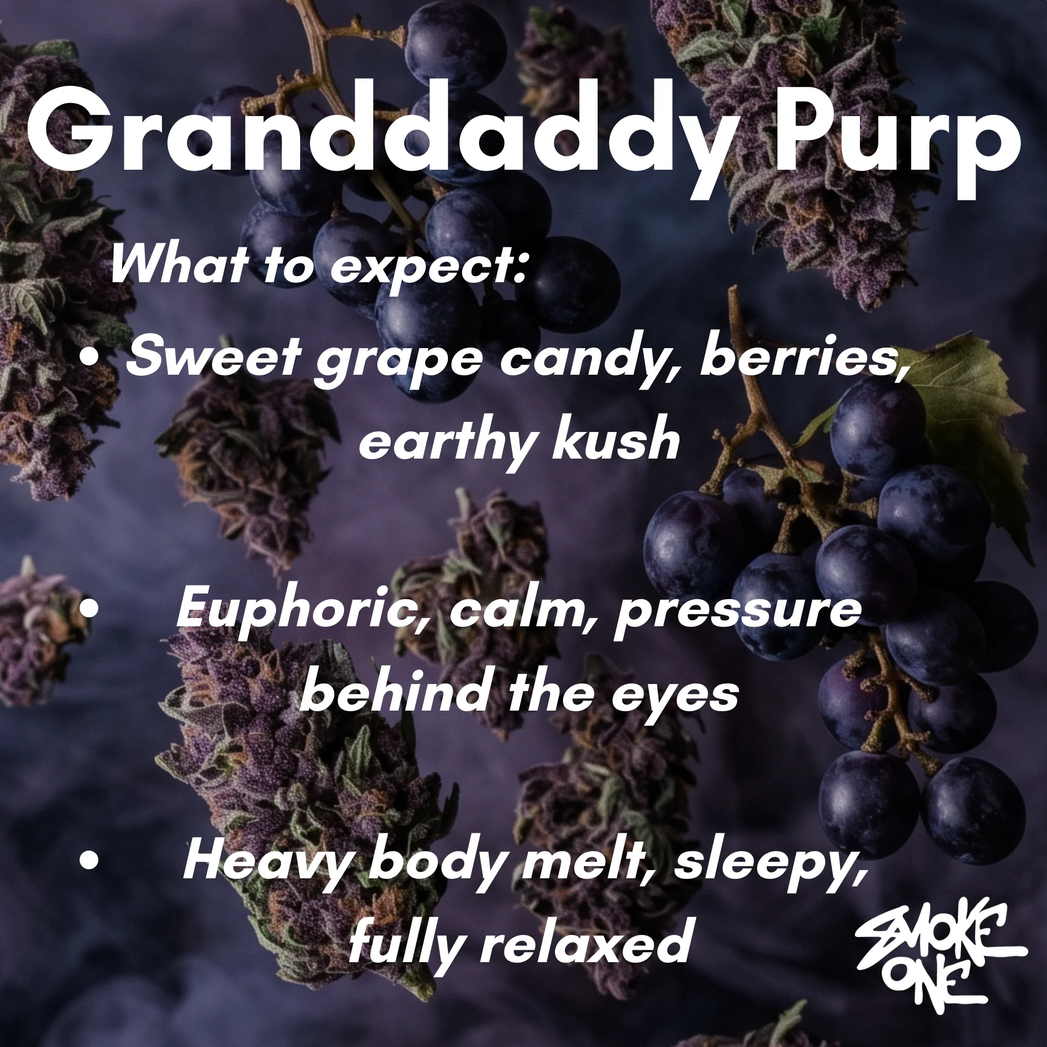 Granddaddy Purp - Image 3