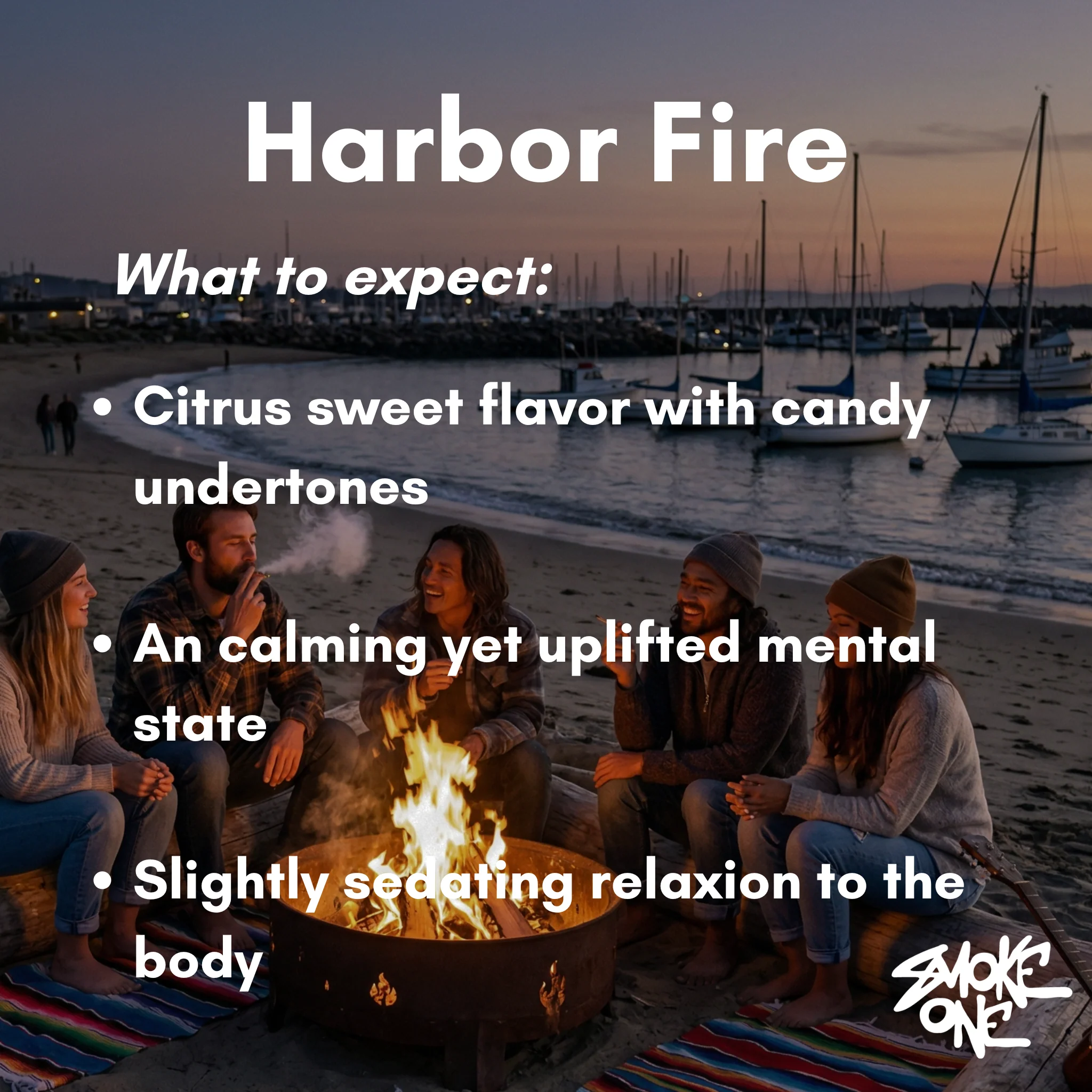 Harbor Fire - Image 3