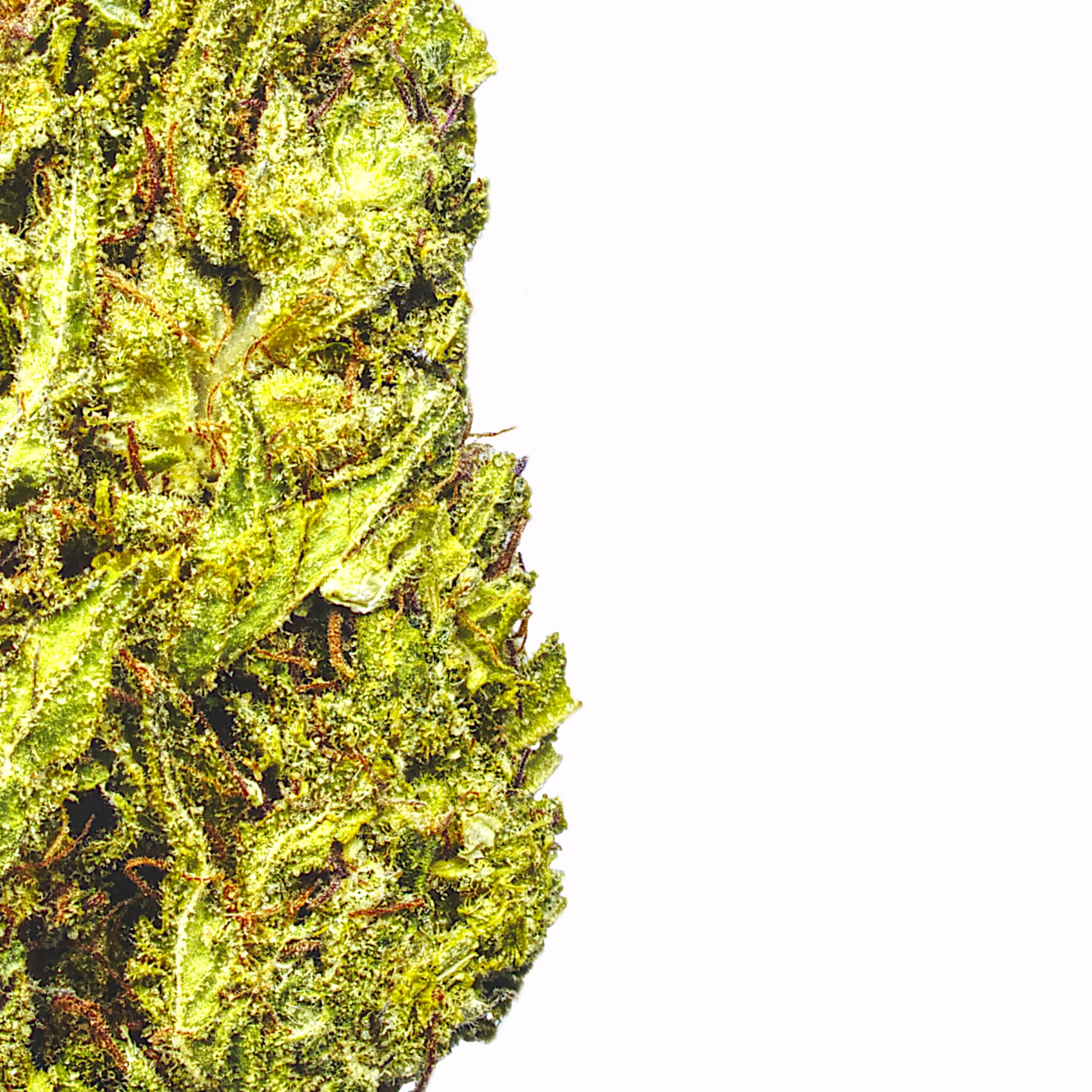 Lemon Cherry Runtz - Image 2