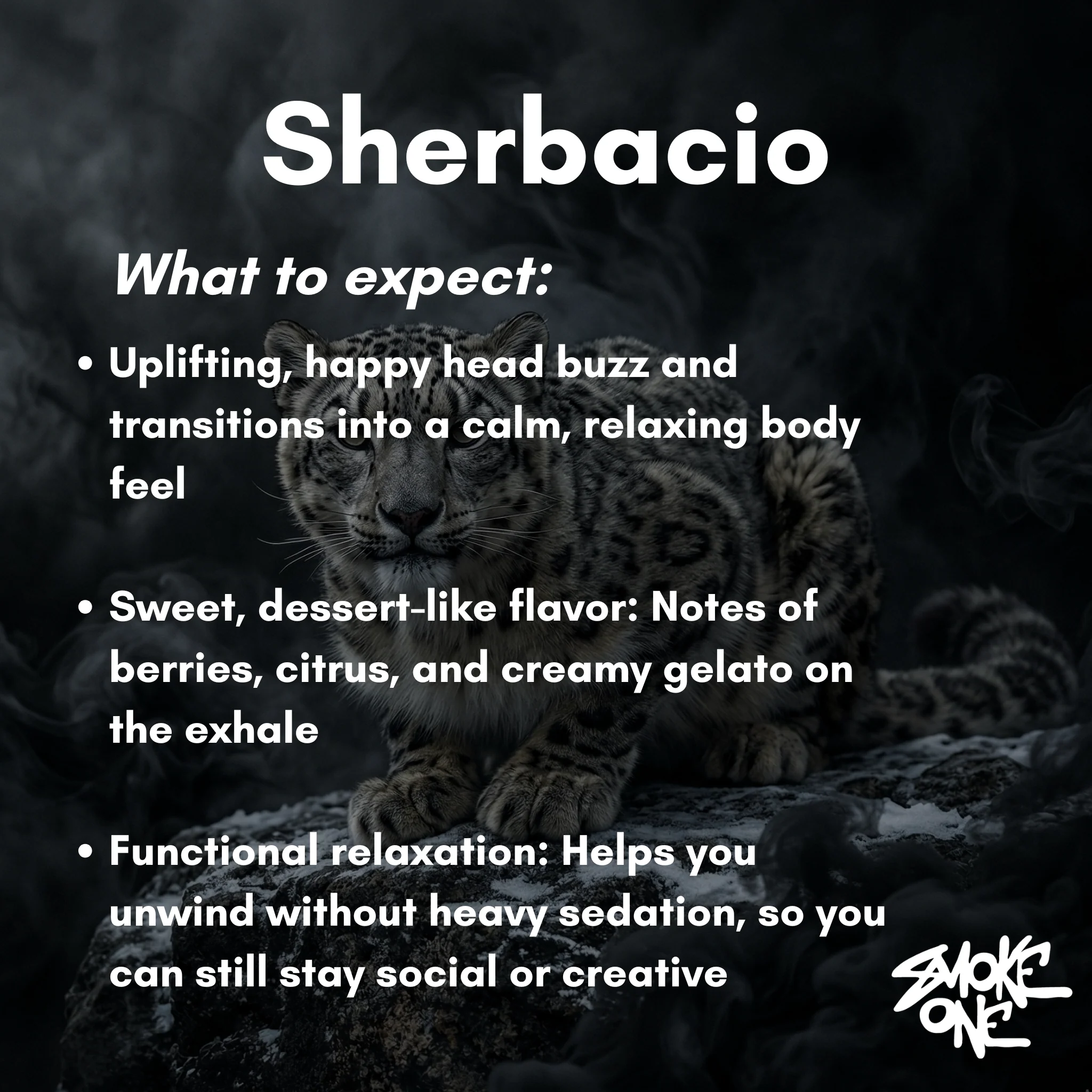 Sherbacio - Image 3